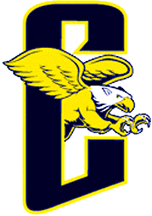 Canisius Golden Griffins 1999-2005 Alternate Logo iron on transfers for T-shirts